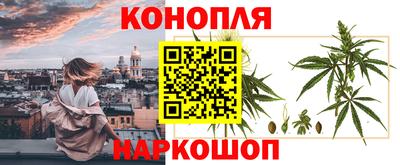 молекула духа Будённовск