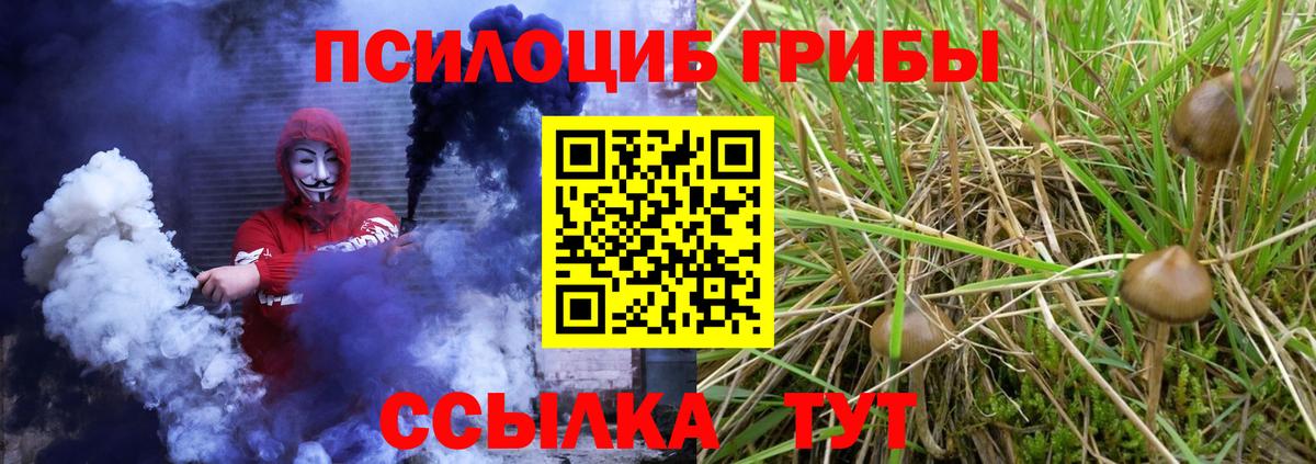 Галлюциногенные грибы GOLDEN TEACHER  Псилоцибиновые грибы Psilocybe  Пенза  Вход с VPN 