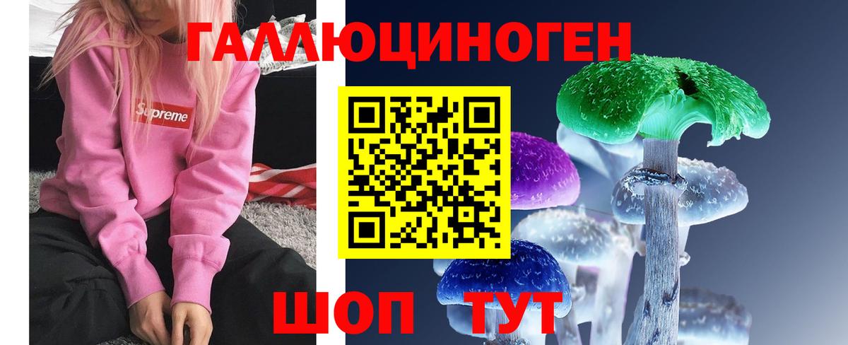 Галлюциногенные грибы Psilocybine cubensis Пенза